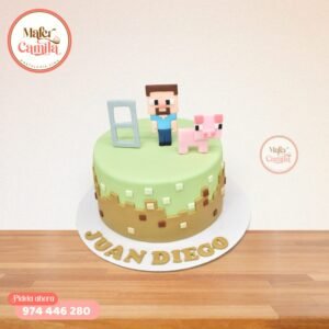 Torta Minecraft #9