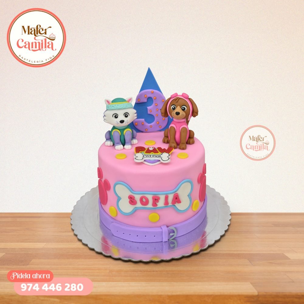 Torta Paw Patrol #27