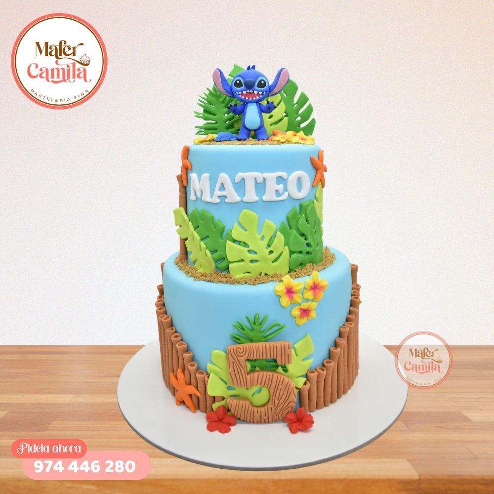 Torta Stitch #21